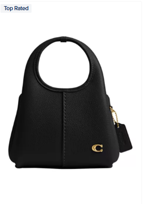 COACH Lana Shoulder Bag 19